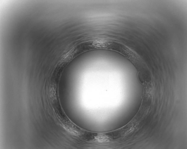 X0000061730603200512050935