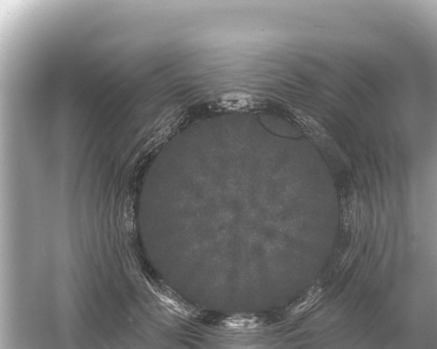 X0000061730606200512050935