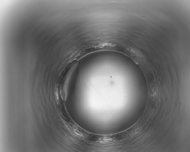 X0000061730607200512050935