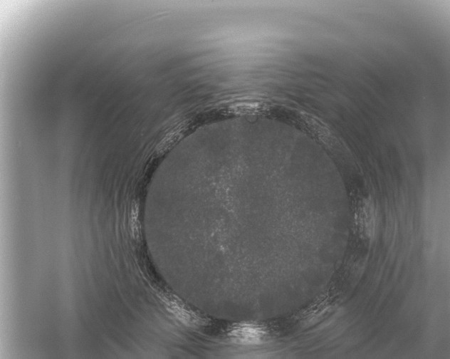 X0000061730610200512050935