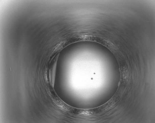 X0000061730611200512050935