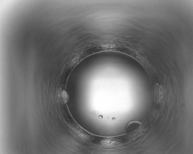 X0000061730614200512050935