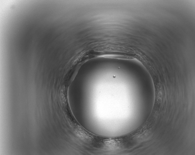 X0000061730616200512050935