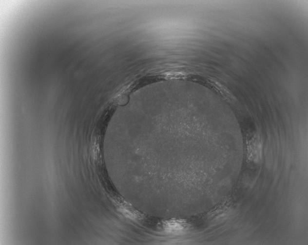 X0000061730618200512050935