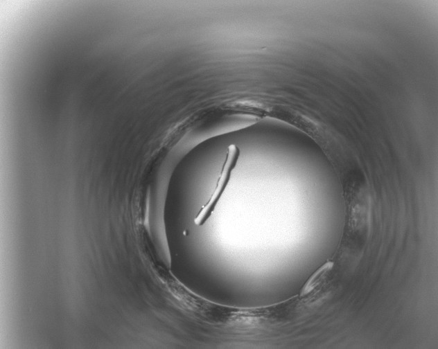 X0000061730620200512050935