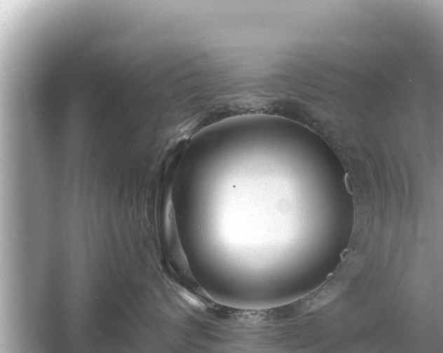 X0000061730624200512050935