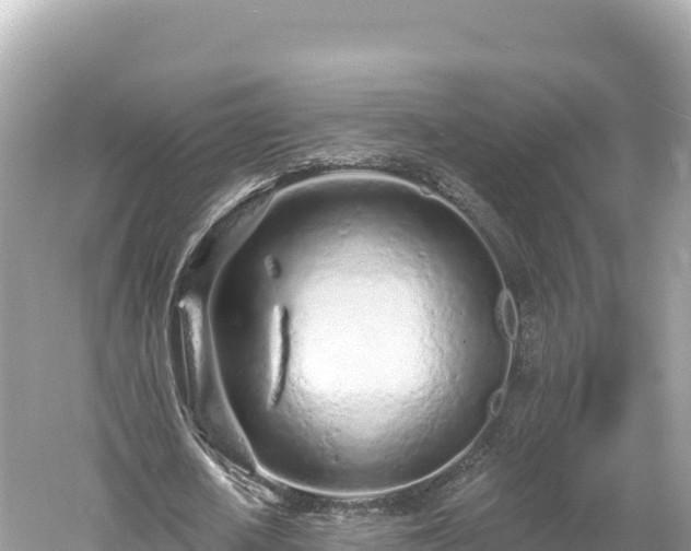 X0000061730626200512050934