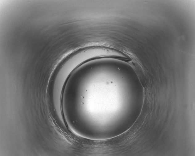 X0000061730628200512050934