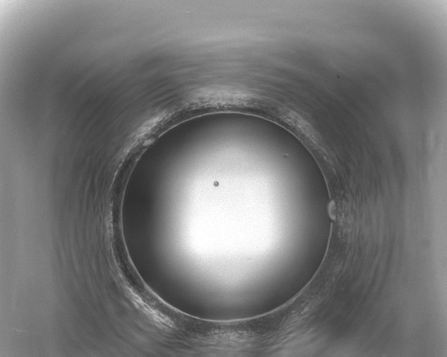 X0000061730629200512050934