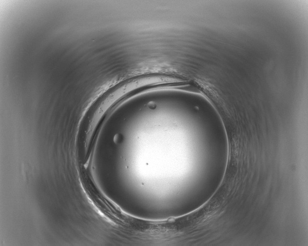 X0000061730630200512050934