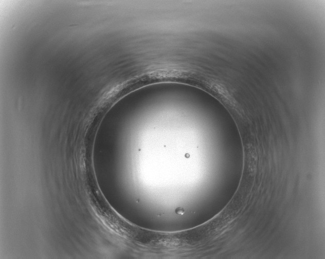 X0000061730631200512050934