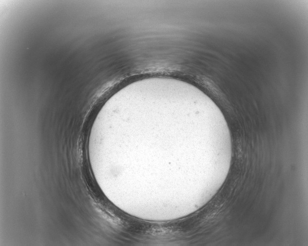 X0000061730632200512050934