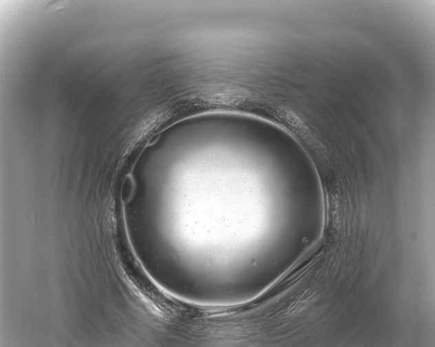 X0000061730634200512050934