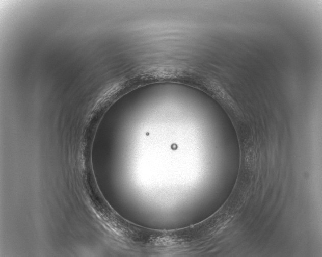 X0000061730635200512050934