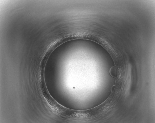 X0000061730636200512050934