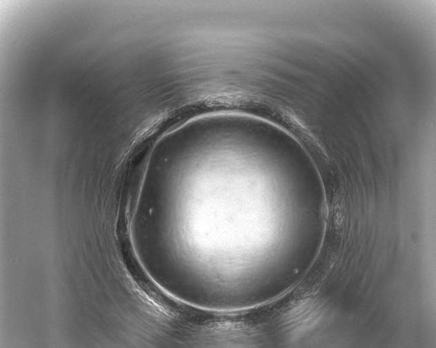 X0000061730637200512050934