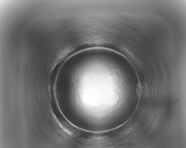 X0000061730638200512050934