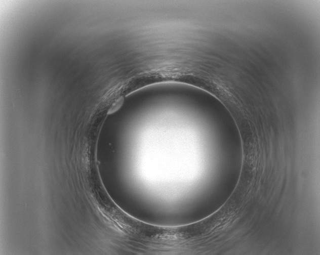 X0000061730639200512050934