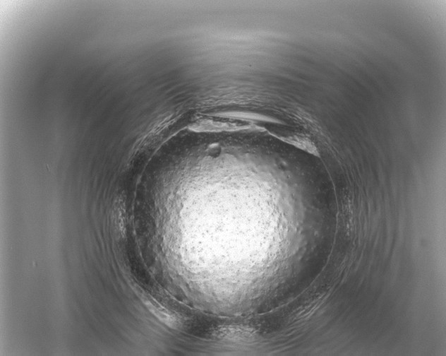 X0000061730644200512050935