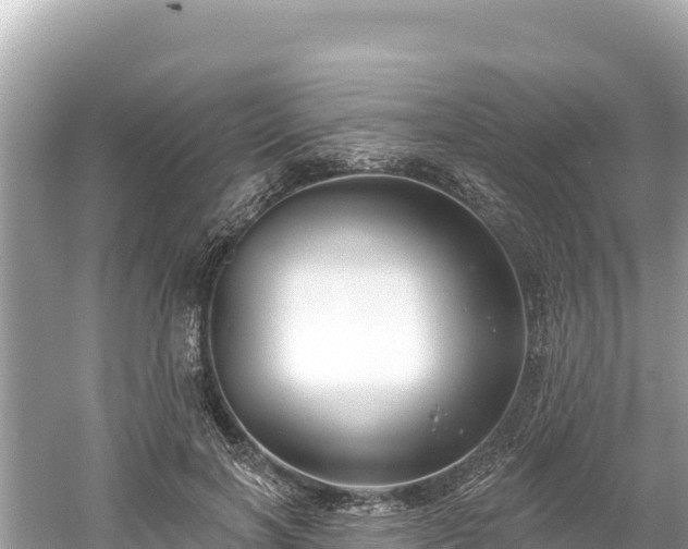 X0000061730646200512050935