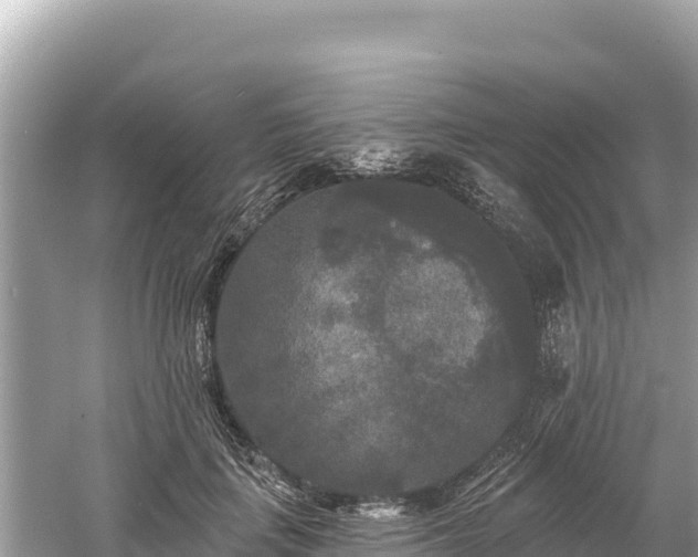 X0000061730651200512050935