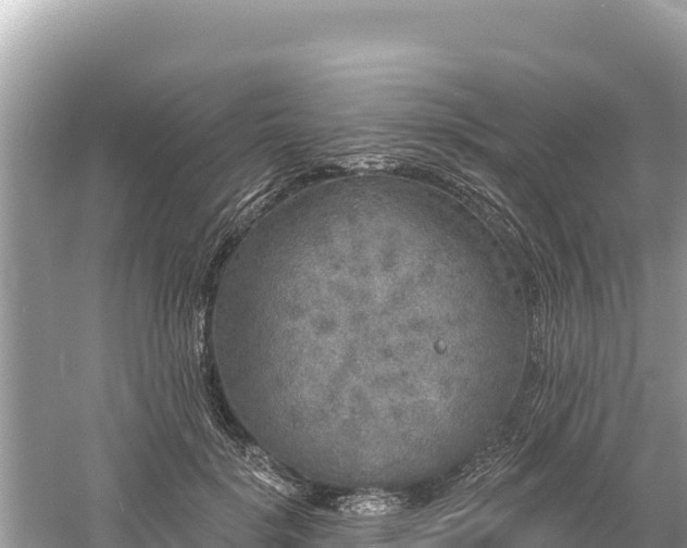 X0000061730652200512050935