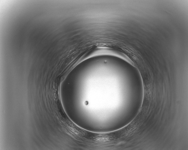 X0000061730653200512050935