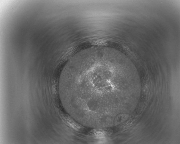 X0000061730658200512050935