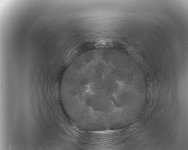 X0000061730659200512050935