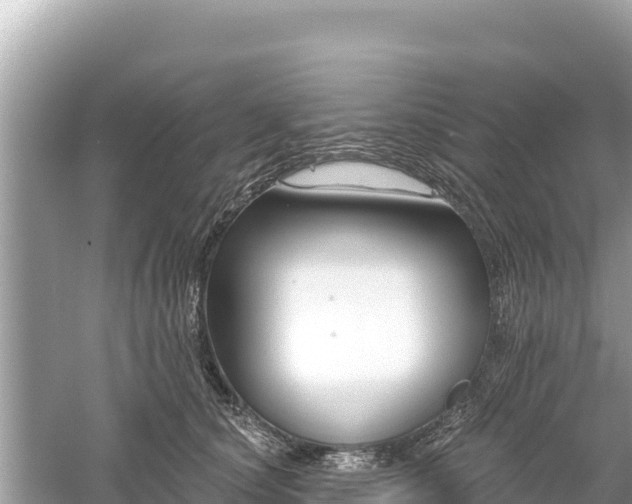 X0000061730660200512050935