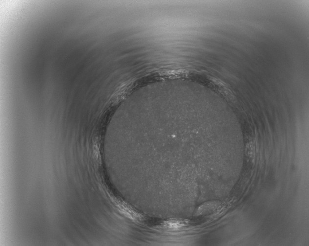 X0000061730662200512050935