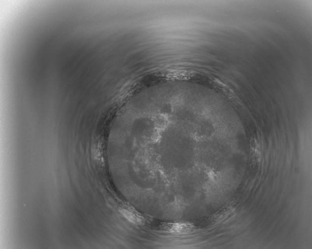 X0000061730663200512050935