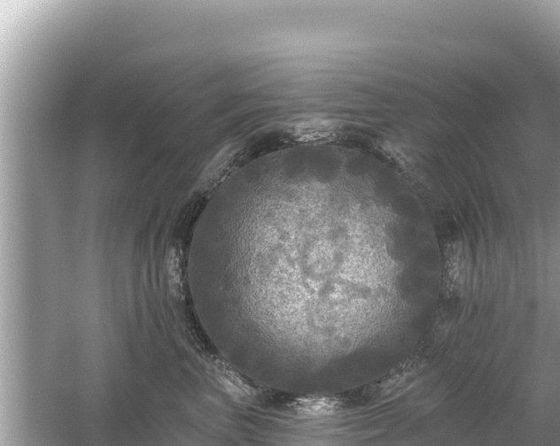 X0000061730667200512050935