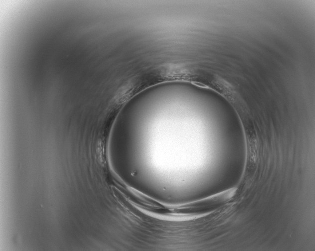 X0000061730669200512050935