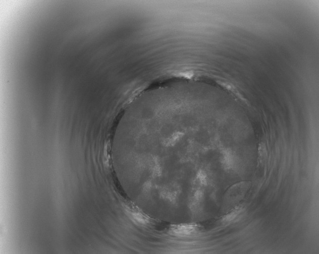 X0000061730671200512050935