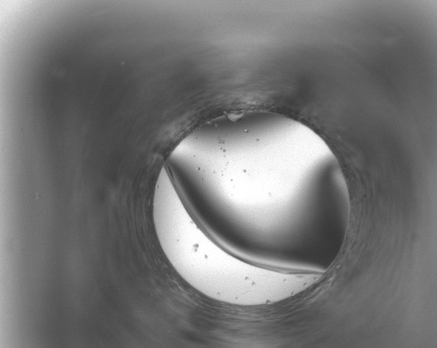 X0000061730672200512050935