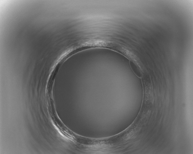 X0000061730674200512050934