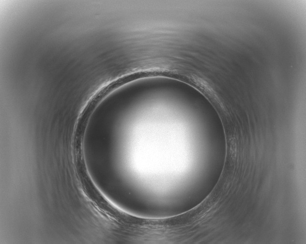 X0000061730676200512050934