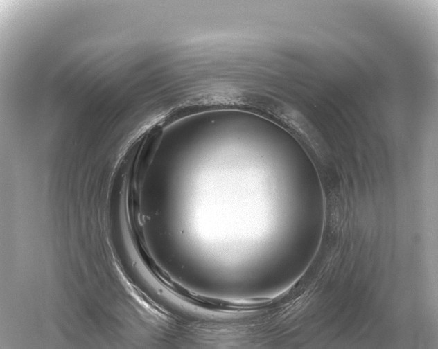 X0000061730677200512050934