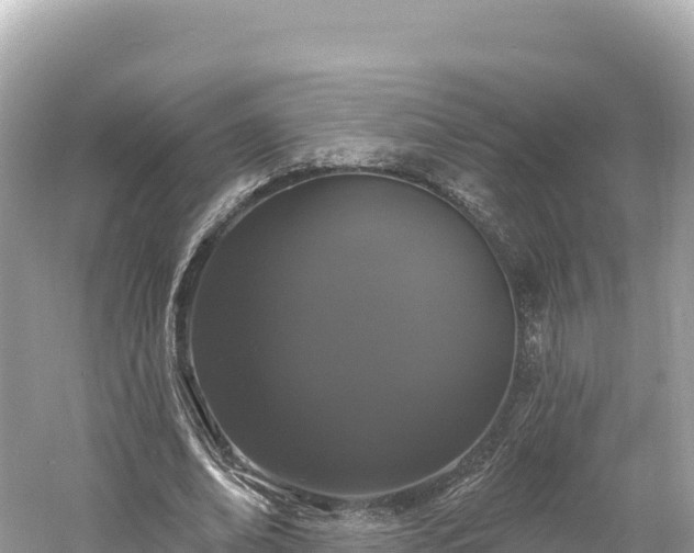 X0000061730678200512050934