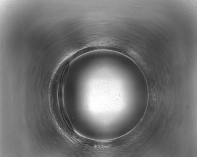 X0000061730680200512050934