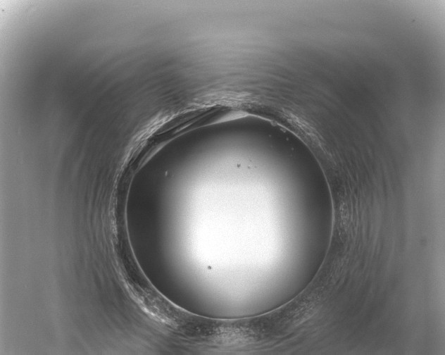 X0000061730682200512050934