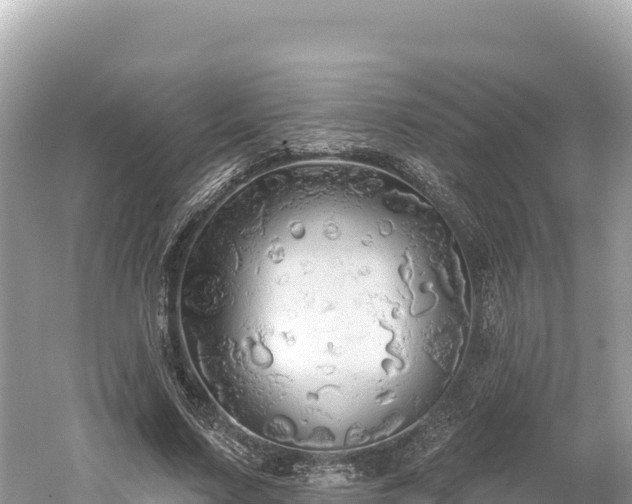 X0000061730683200512050934