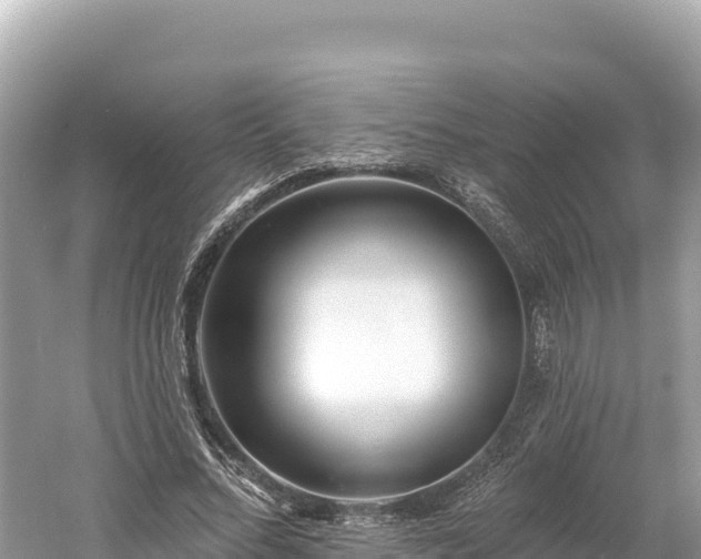 X0000061730684200512050934