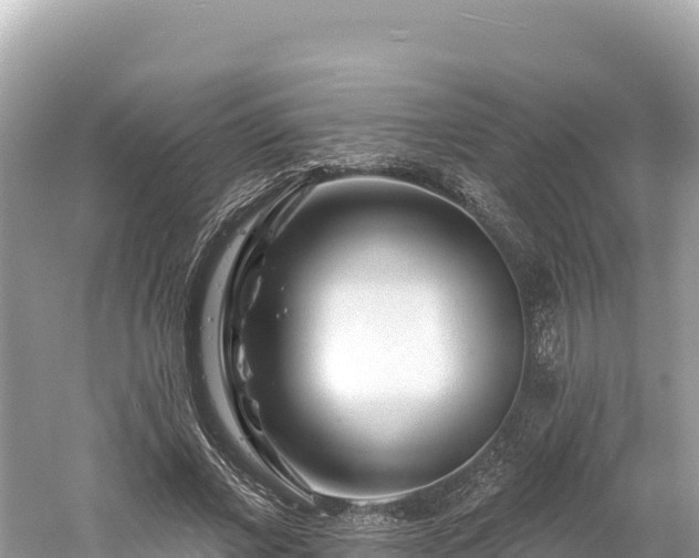 X0000061730685200512050934