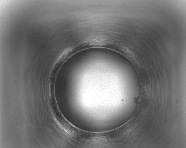 X0000061730686200512050934