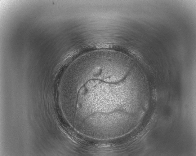 X0000061730687200512050934