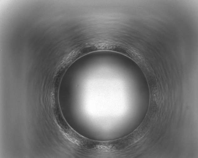 X0000061730690200512050934