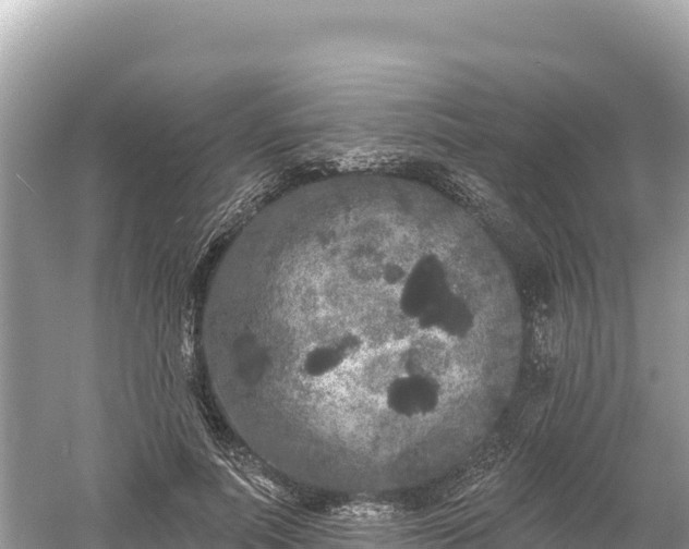 X0000061730691200512050934