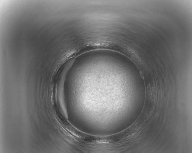 X0000061730692200512050934